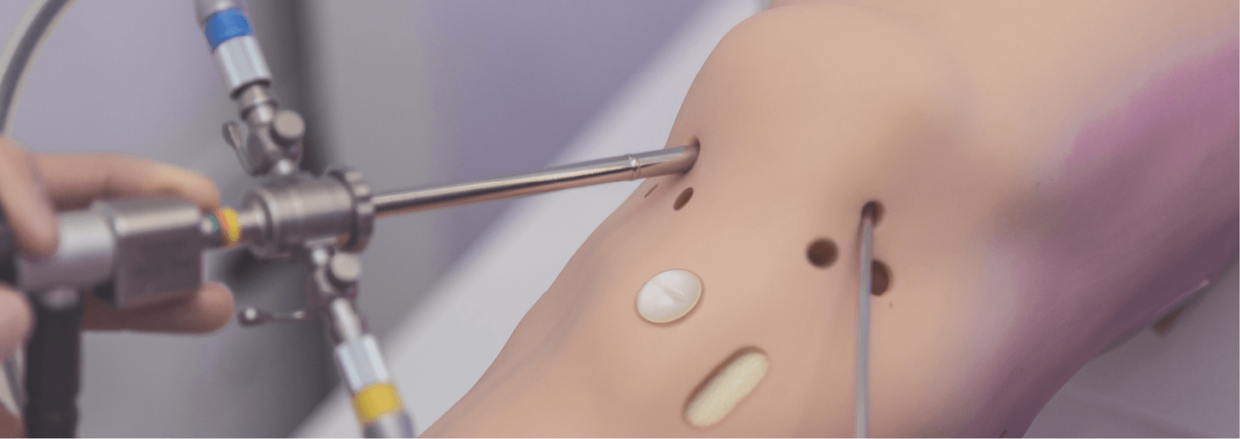 Header Image-3